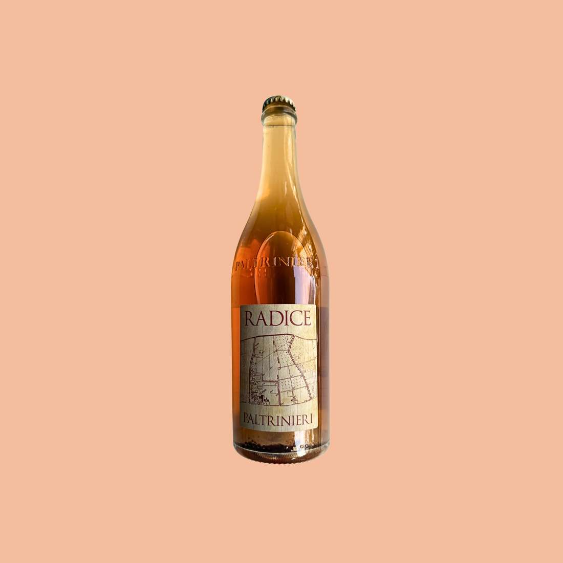 Radice Lambrusco di Sorbara, Paltrinieri